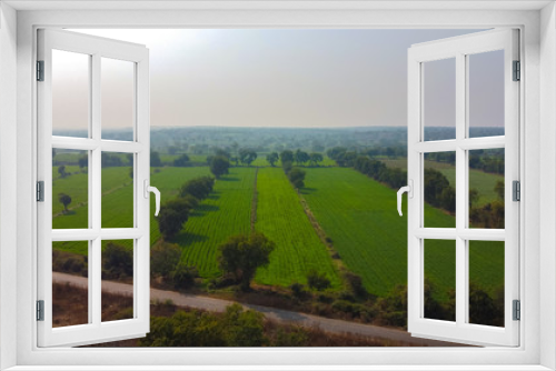 Fototapeta Naklejka Na Ścianę Okno 3D - Arial top view of agriculture field 
