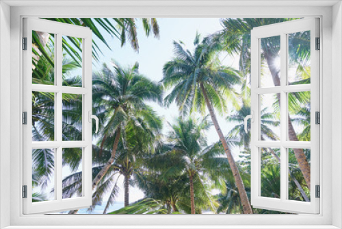 Fototapeta Naklejka Na Ścianę Okno 3D - Sunny day. Beautiful green coconut palm trees.