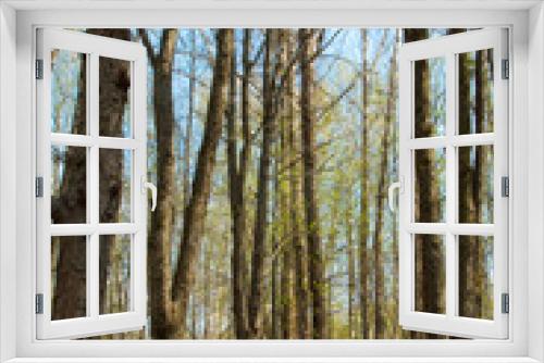 Fototapeta Naklejka Na Ścianę Okno 3D - Spring time in a forest. Sunny spring forest