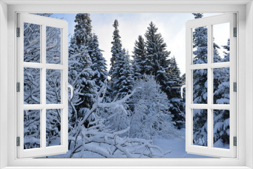 Fototapeta Naklejka Na Ścianę Okno 3D - snow covered fir trees