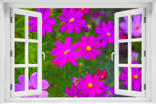Fototapeta Naklejka Na Ścianę Okno 3D - background with flowers