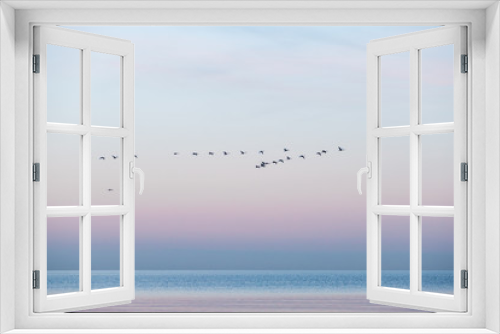 Fototapeta Naklejka Na Ścianę Okno 3D - Minimalistic seascape of the baltic sea at sunrise with a flock of whooper swans crossing the water and beautiful colors, Sehlendorf, Schleswig-Holstein, Northern Germany