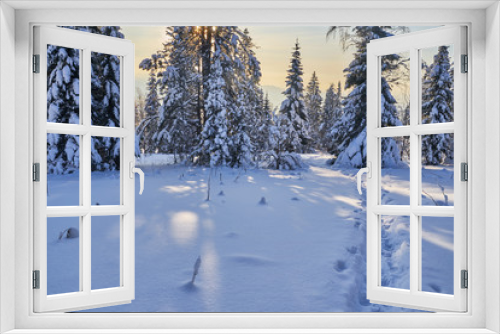 Fototapeta Naklejka Na Ścianę Okno 3D - Winter forest with snow-covered fir trees high in the mountains. Sunny February day in the spruce forest. The trees are covered with snow to the top of their heads.