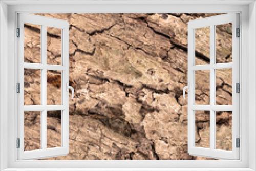 Fototapeta Naklejka Na Ścianę Okno 3D - Tree bark texture full frame in nature. Warm brown background