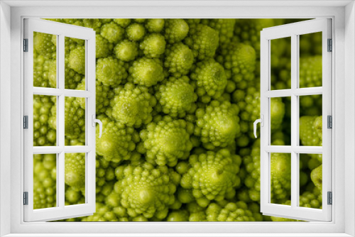 Fototapeta Naklejka Na Ścianę Okno 3D - Broccoflower up close