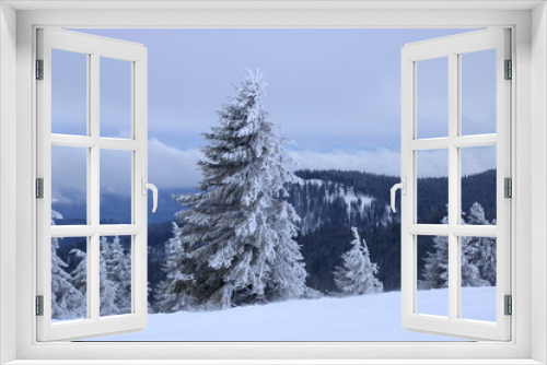 Fototapeta Naklejka Na Ścianę Okno 3D - bäume auf dem feldberg die von schnee bedeckt sind