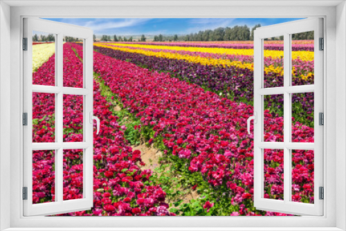 Fototapeta Naklejka Na Ścianę Okno 3D -  Gorgeous multicolor striped floral carpet