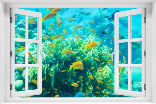 Fototapeta Naklejka Na Ścianę Okno 3D - Scenic view of colorful tropical coral reef