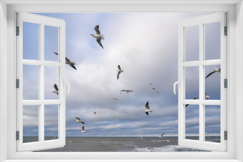 Fototapeta Naklejka Na Ścianę Okno 3D - many gulls fly over the stormy sea