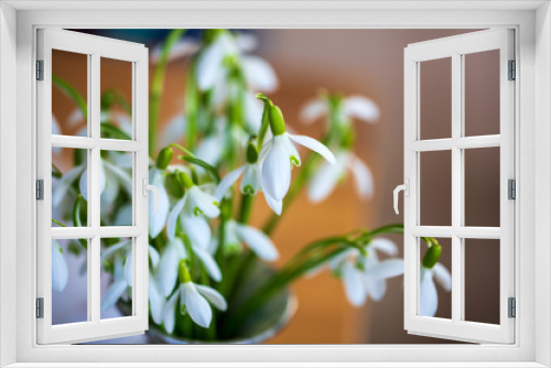 Fototapeta Naklejka Na Ścianę Okno 3D - Schneeglöcken - Galathus - Frühling - Frühjahr
