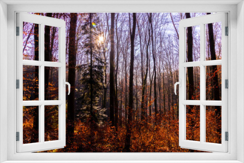 Fototapeta Naklejka Na Ścianę Okno 3D - Winterwald am Morgen