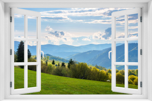 Fototapeta Naklejka Na Ścianę Okno 3D - wonderful rural landscape in mountains. fields and meadows on hills rolling in to the distant ridge. trees in fresh green foliage. nature scenery on a sunny day in spring. fluffy clouds on the sky