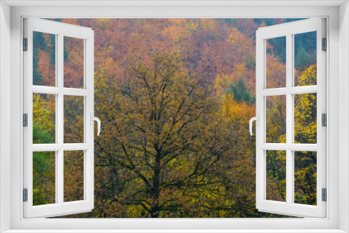 Fototapeta Naklejka Na Ścianę Okno 3D - Autumn Park in Heidelberg