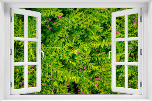 Fototapeta Naklejka Na Ścianę Okno 3D - Abstract background with green leafs and pink flowers