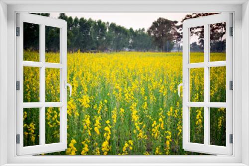 Fototapeta Naklejka Na Ścianę Okno 3D - Yellow flower fields