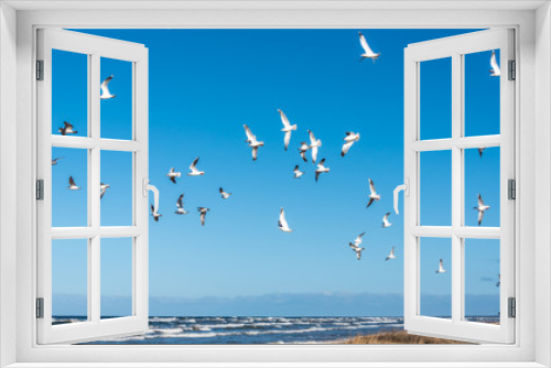 Fototapeta Naklejka Na Ścianę Okno 3D - Birds over a Baltic Sea Beach on a Sunny Day