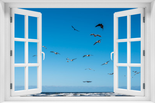 Fototapeta Naklejka Na Ścianę Okno 3D - Birds over a Baltic Sea Beach on a Sunny Day