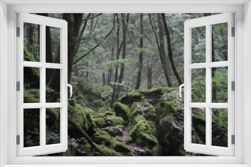 Fototapeta Naklejka Na Ścianę Okno 3D - Moss forest