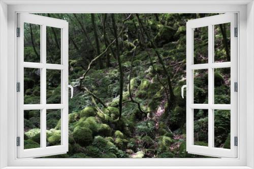 Fototapeta Naklejka Na Ścianę Okno 3D - 山犬嶽　yamainudake
