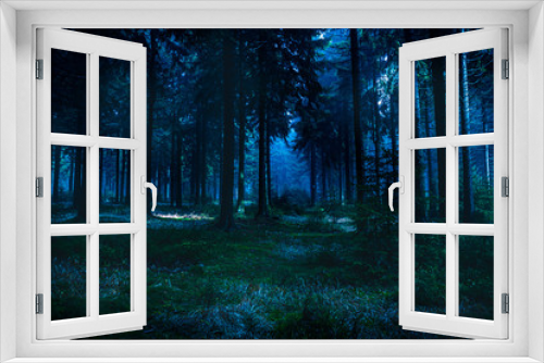 Fototapeta Naklejka Na Ścianę Okno 3D - night forest