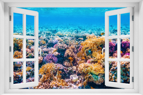 Fototapeta Naklejka Na Ścianę Okno 3D - Beautifiul underwater world with tropical fish and coral reefs