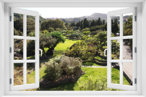 Fototapeta Naklejka Na Ścianę Okno 3D - Botanical garden (Tafira Alta, Gran Canaria, Spain)