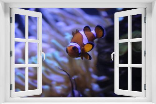 Fototapeta Naklejka Na Ścianę Okno 3D - naturaleza animales 