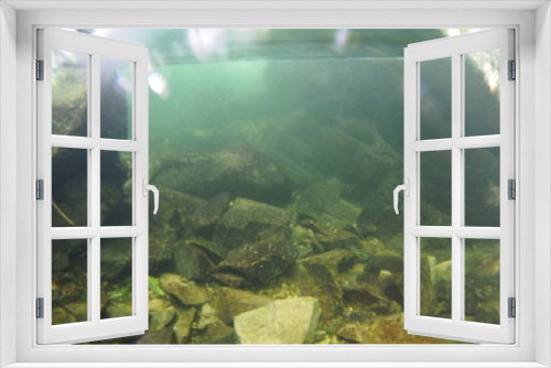 Fototapeta Naklejka Na Ścianę Okno 3D - Underwater photo of mountain stream