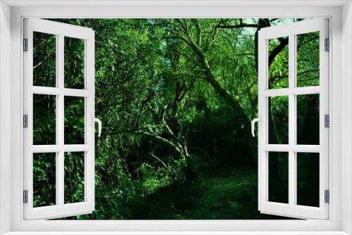 Fototapeta Naklejka Na Ścianę Okno 3D - Arboles Naturaleza