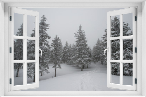 Fototapeta Naklejka Na Ścianę Okno 3D - snow-covered, coniferous, white forest, after a night of snowfall and a waving path among fir trees