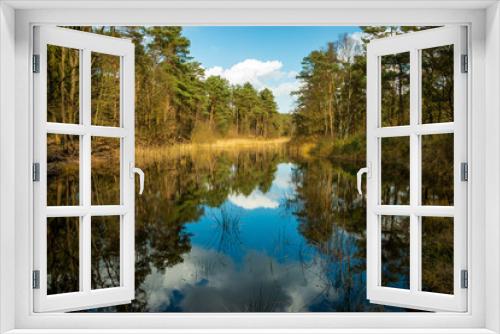 Fototapeta Naklejka Na Ścianę Okno 3D - Small lake with beautiful reflections of the trees in the water of the forest of Holtingerveld and a blue sky with white clouds near Havelte, province Drenthe region westerkwartier