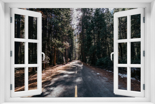 Fototapeta Naklejka Na Ścianę Okno 3D - Narrow Road in the Forest