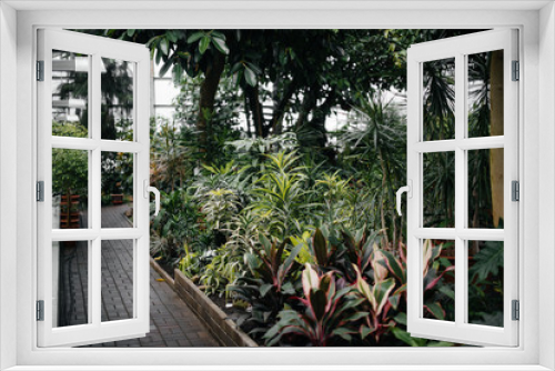 Fototapeta Naklejka Na Ścianę Okno 3D - Thick thickets of plants in the greenhouse. Jungle, the screensaver