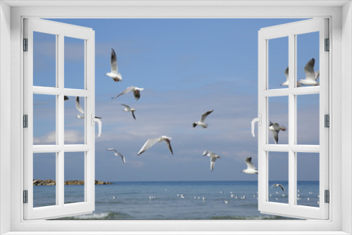Fototapeta Naklejka Na Ścianę Okno 3D - flock of seagulls on the blue sky