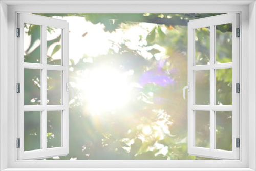 Fototapeta Naklejka Na Ścianę Okno 3D - beautiful light of sun shine through green tree in the morning day