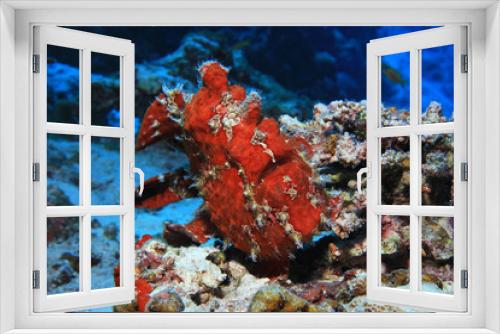 Fototapeta Naklejka Na Ścianę Okno 3D - Giant frogfish
