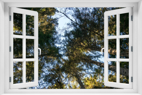 Fototapeta Naklejka Na Ścianę Okno 3D - Pirineos