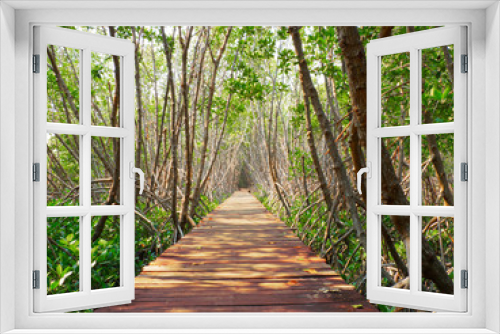 Fototapeta Naklejka Na Ścianę Okno 3D - Wooden boardwalk in the mangrove forest