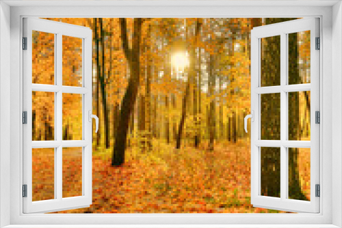 Fototapeta Naklejka Na Ścianę Okno 3D - dark yellow maple leaves in fall sunny forest