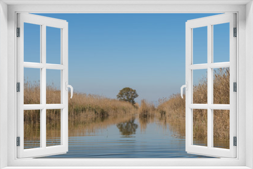 Fototapeta Naklejka Na Ścianę Okno 3D - The Albufera nature reserve, El Palmar, Valencia, Comunidad Valenciana, Spain