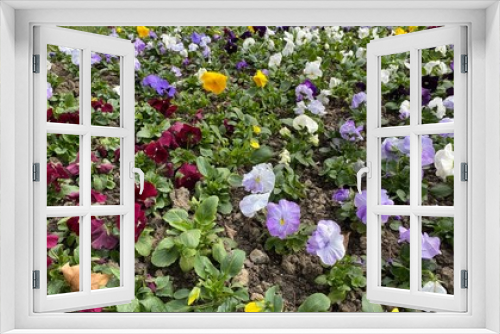 Fototapeta Naklejka Na Ścianę Okno 3D - Spring Flowers 3