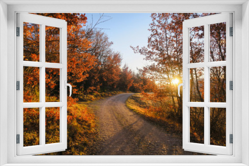 Fototapeta Naklejka Na Ścianę Okno 3D - Sunset shinning through the foliage on a rural road in the south of france at fall