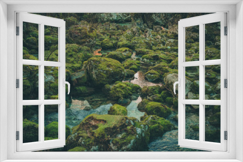 Fototapeta Naklejka Na Ścianę Okno 3D - Scary enchanted forest with green moss on the ground covered with stones and water in between. Fairytale setting. Some reflections are seen.