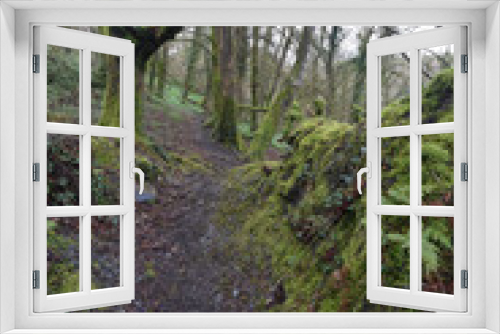 Fototapeta Naklejka Na Ścianę Okno 3D - Footpath through woodland Minster Church Boscastle Cornwall
