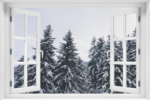 Fototapeta Naklejka Na Ścianę Okno 3D - Snowy pine trees in the mountains