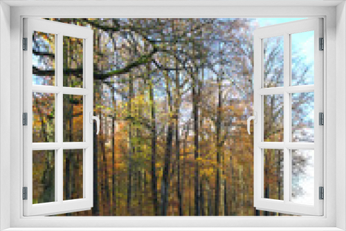 Fototapeta Naklejka Na Ścianę Okno 3D - Wald, Natur