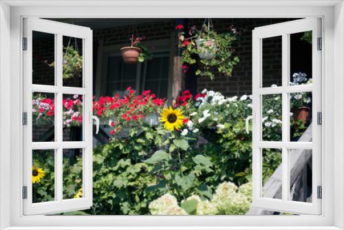 Fototapeta Naklejka Na Ścianę Okno 3D - Sunflower in the backyard in sunny summer weather