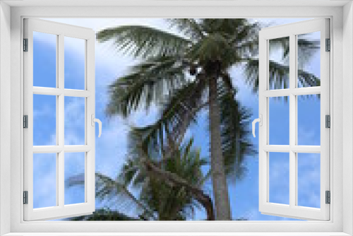 Fototapeta Naklejka Na Ścianę Okno 3D - Palme tropicale