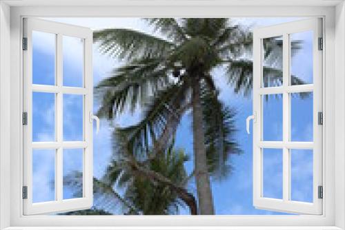Fototapeta Naklejka Na Ścianę Okno 3D - Palme tropicale