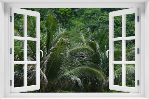 Fototapeta Naklejka Na Ścianę Okno 3D - f noronha